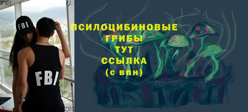 Галлюциногенные грибы Cubensis  Кирово-Чепецк 